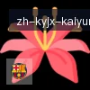 ky开云 logo