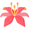 ky开云 logo
