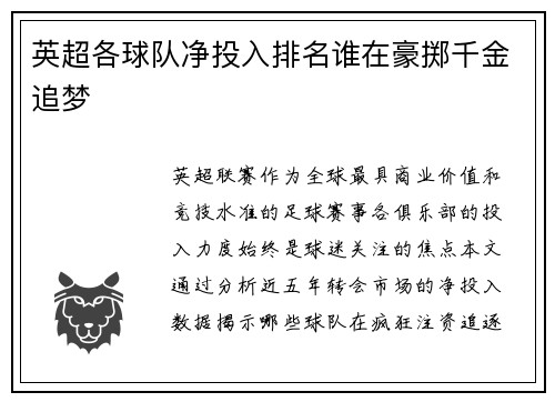 英超各球队净投入排名谁在豪掷千金追梦