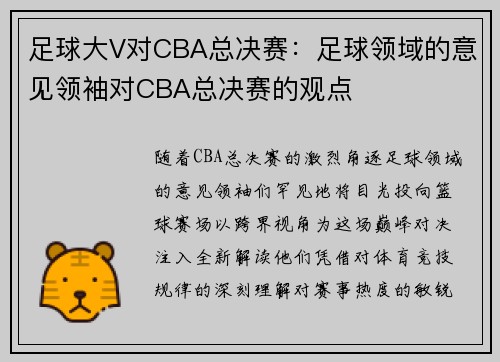 足球大V对CBA总决赛：足球领域的意见领袖对CBA总决赛的观点